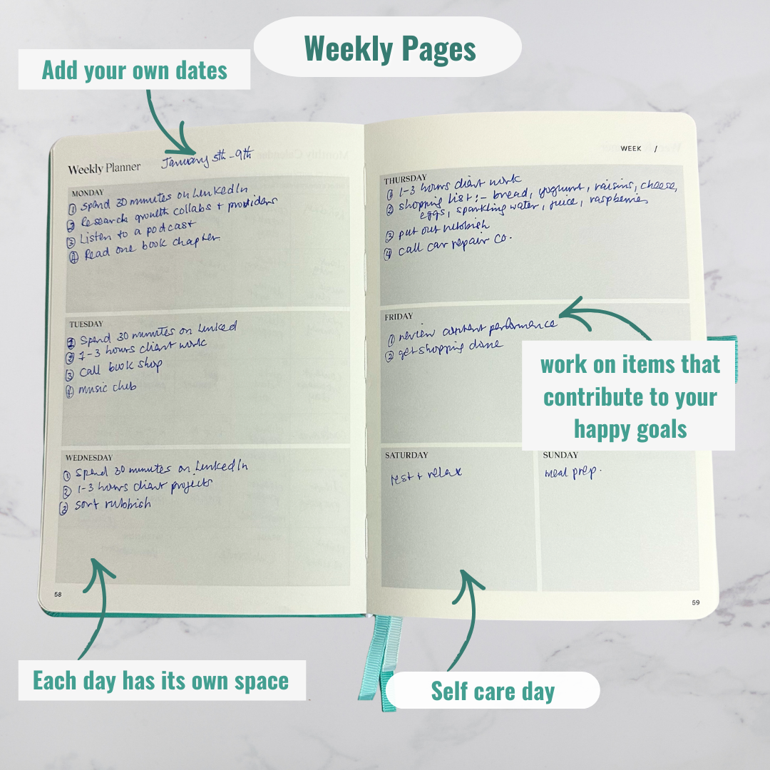 Surprisingly Successful – Undated Weekly Planner - Teal